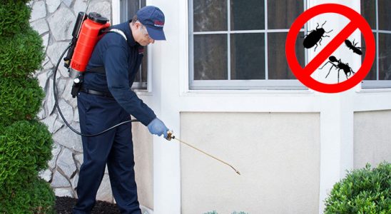 Derepazarı Karınca İlaçlama böcek ilaçlama ve haşere kontrolü — ilaclama-tr.com